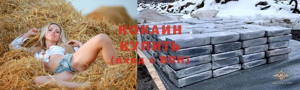 трава Армянск