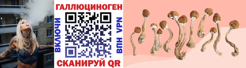 Галлюциногенные грибы Cubensis  Всеволожск 